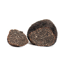 Truffle Trims <10gr (Tuber Melanosporum) Truffle Hill | per kg