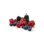 Frozen Fruit Puree Red Fruits Mix Sicoly 1kg | per kg
